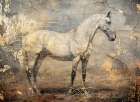 Horse Vintage Art Illustration 06 Art Print