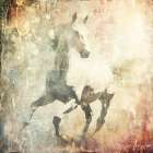 Horse Vintage Art Illustration 07 Art Print