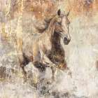 Horse Vintage Art Illustration 08 Art Print