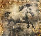 Horse Vintage Art Illustration 12 Art Print