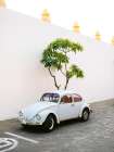 Pastel Volskwagen Beetle in the streets of Oaxaca Mexico Art Print