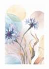 Watercolor Cornflowers Art Print