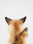 Foxtail Minimalist Print