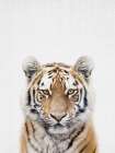 Tiger Art Print