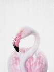Flamingo Minimalist Print