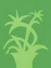Green leafy plant Botanical Print