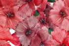 Big Red Flowers 2 Art Print