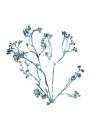 Delicate Blue Flowers 2 Art Print