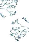 Delicate Blue Flowers 1 Art Print
