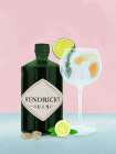Gin Tonic Art Print