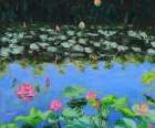 Pink Lotus Lilies in a Pond Art Print