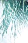 Water Reflections 2 Minimalist Print