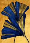 Ginko Biloba Nature Floral Art (2) Art Print