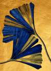 Ginko Biloba Nature Floral Art (3) Art Print