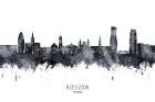 RzeszAAndsup3;w Poland Skyline Art Print