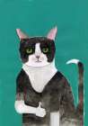 Cat thumbs up Art Print