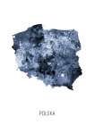Polska Watercolor Map Art Print