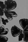 Black Floral 4 Art Print