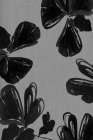 Black Floral 5 Art Print