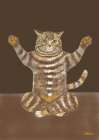 Yoga Cat Art Print