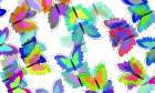 Butterfly Mix Art Print