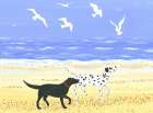 A Walk on the Beach Art Print