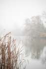 At the Lake Art Print