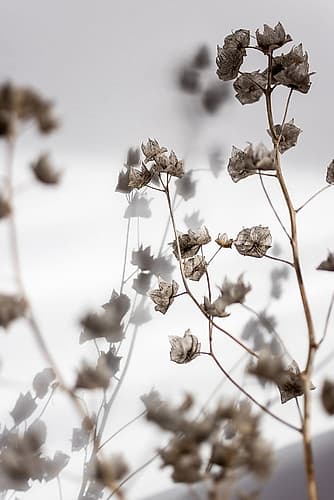 Last Summer 31 Art Print