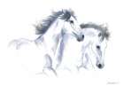 Two Horses Art Print
