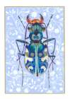 Blue Insect Art Print