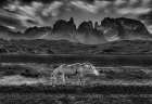 The Dreaming Land Art Print