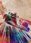 Sport Racing art Art Print