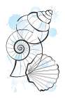 Shells Art Print