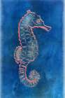 Seahorse Art Print