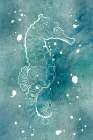 Cyan Seahorse Art Print