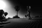 A journey through the desert Art Print