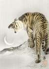 Roaring Tiger Art Print