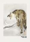 Roaring Tiger Art Poster Art Print