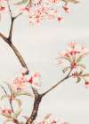 Sakura Cherry During 1870a├éΓé¼├éΓÇ£1880 Art Print