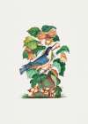 Beautiful Nuthatch Art Print