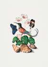 Hummingbird Art Print