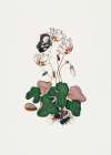 Cyclamen Art Print