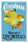 Citronnade Limoncello On Blue and Black Art Print