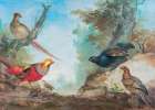 Pheasants Art Print