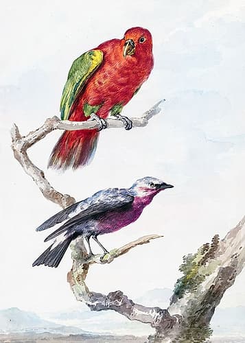 Two Birds Art Print