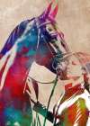 Horse Rider sport art Art Print