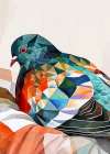 Animal Watercolor Art Bird Dove Pigeon 2 Art Print