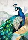 Animal Watercolor Art Bird Peacock Art Print
