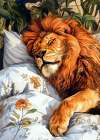 Animal Watercolor Art Lion Sleeping Art Print