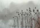 Wet Plate Photography Nature 2 Art Print
